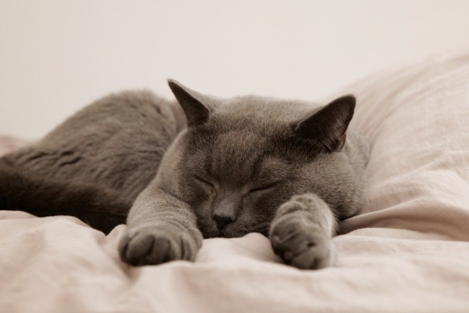 <p>Why A Divan Bed Is A Wise Investment</p>
